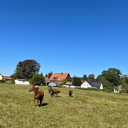 Ferienwohnung Kottmar Walddorf  Екстер'єр фото