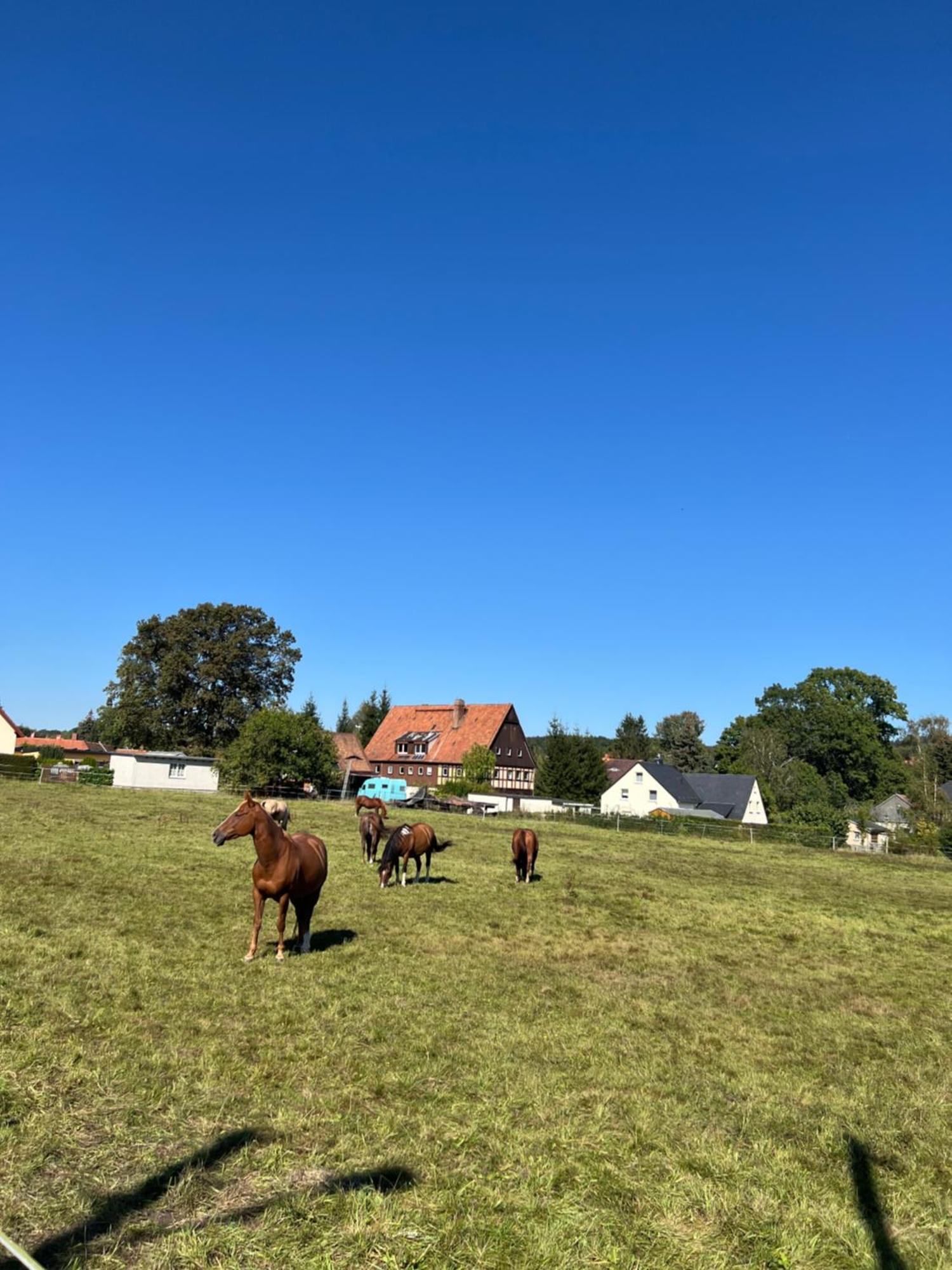Ferienwohnung Kottmar Walddorf  Екстер'єр фото